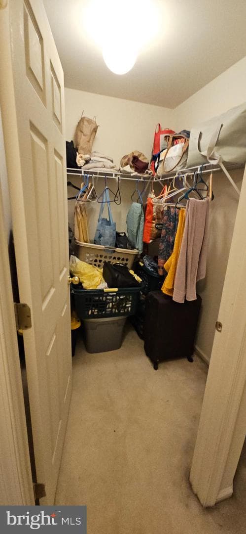 101 Tennyson Lane photo 38