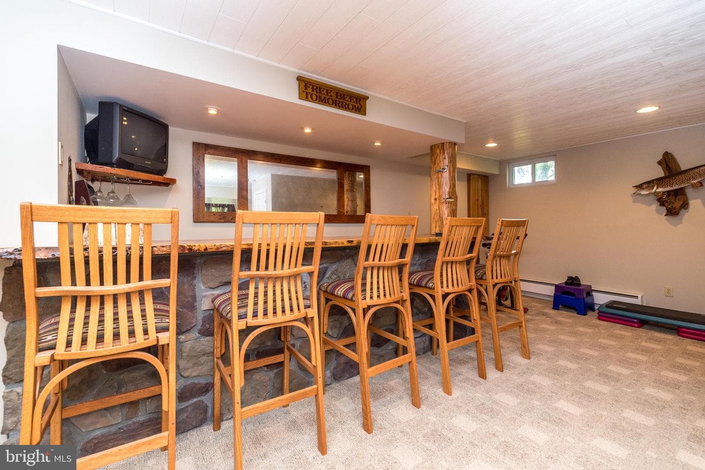 236 Longchamp Drive photo 48