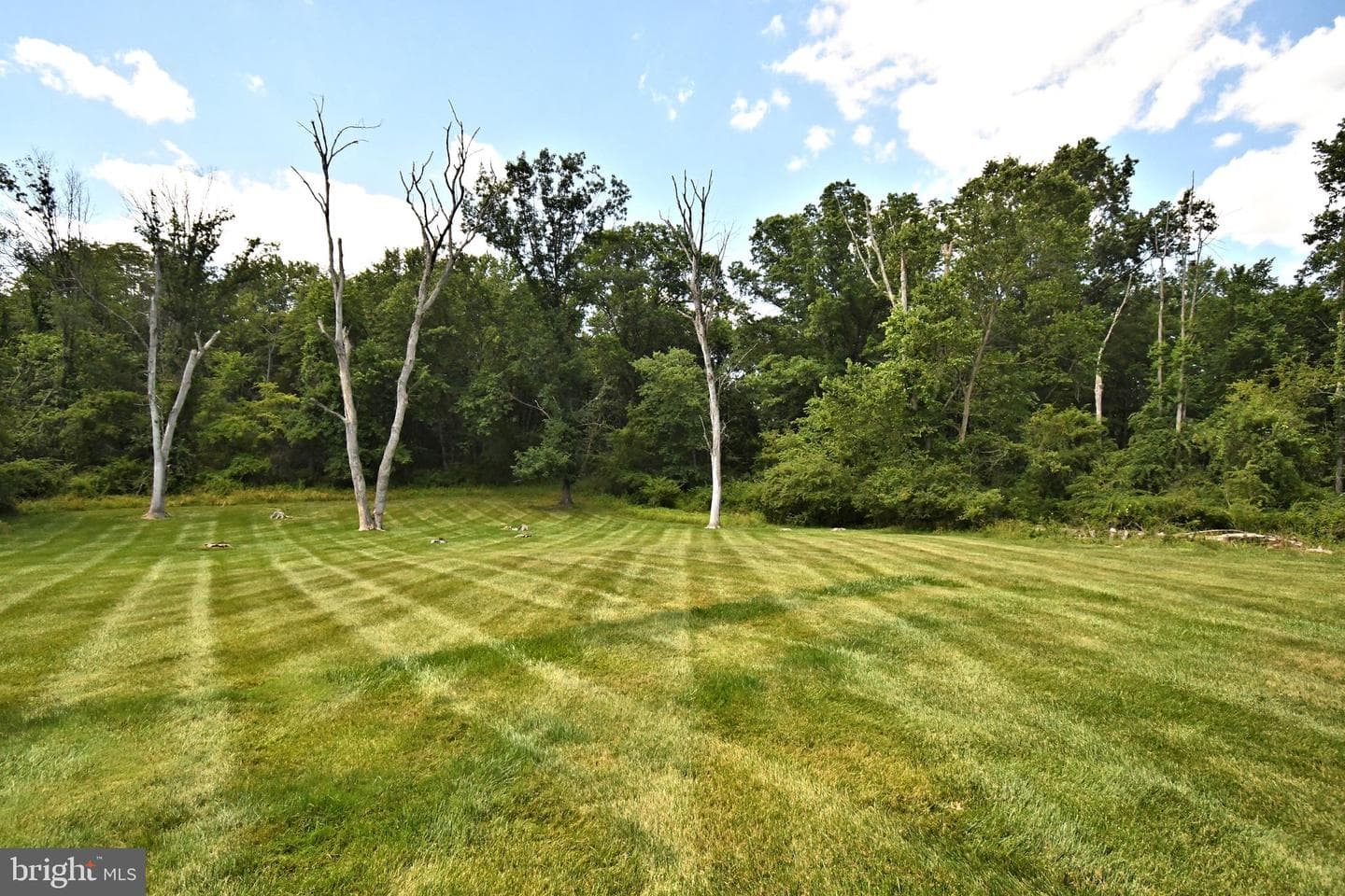 1651 N North Wales Road photo 58