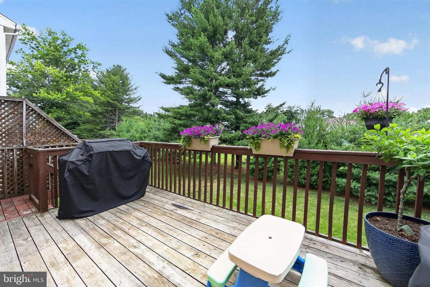 9 Linden Court photo 31