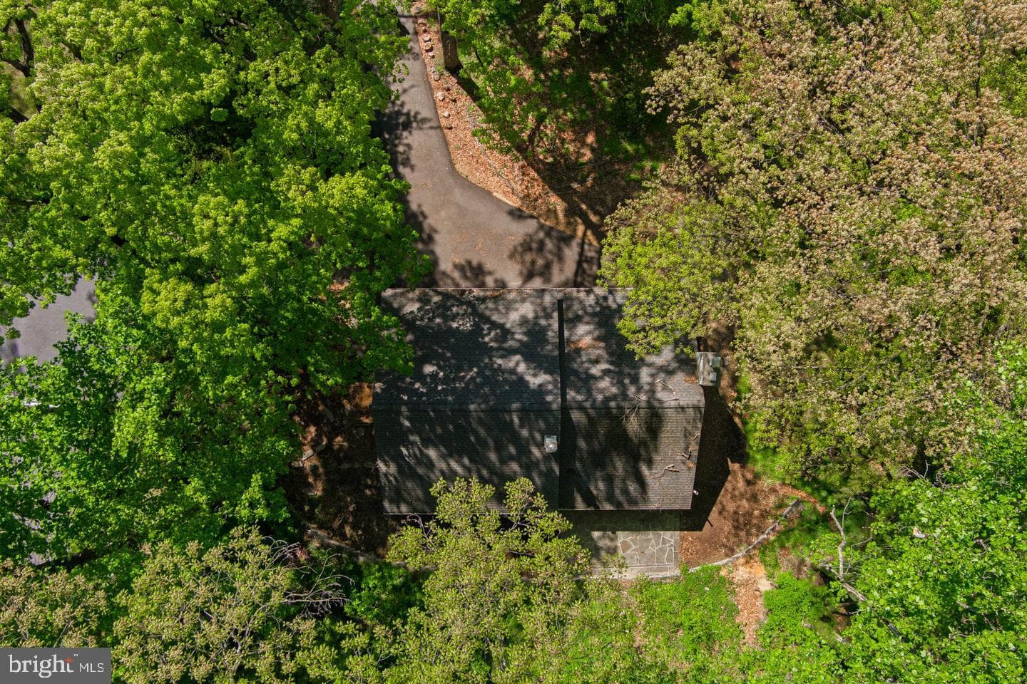156 Gypsy Lane photo 10