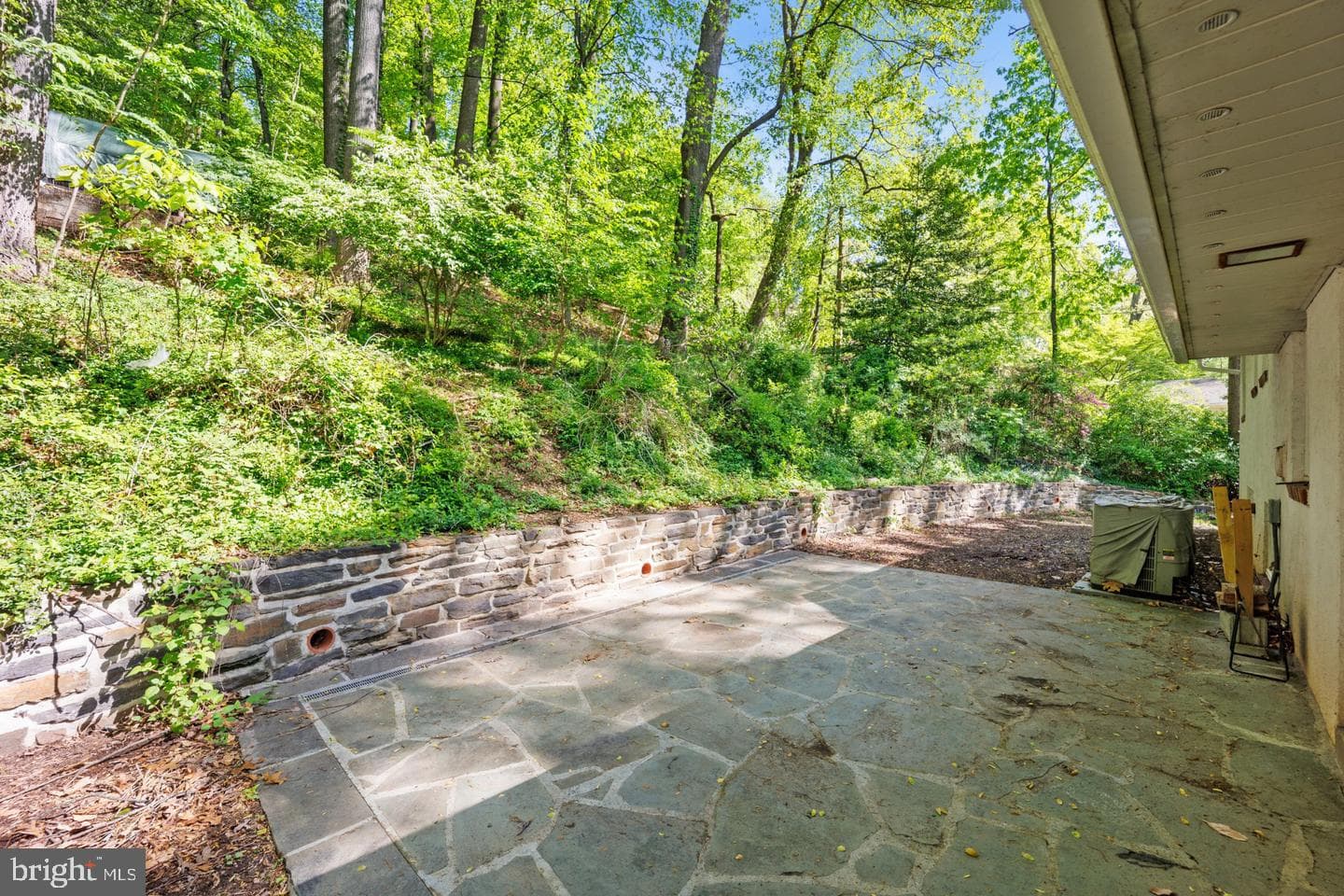 156 Gypsy Lane photo 17