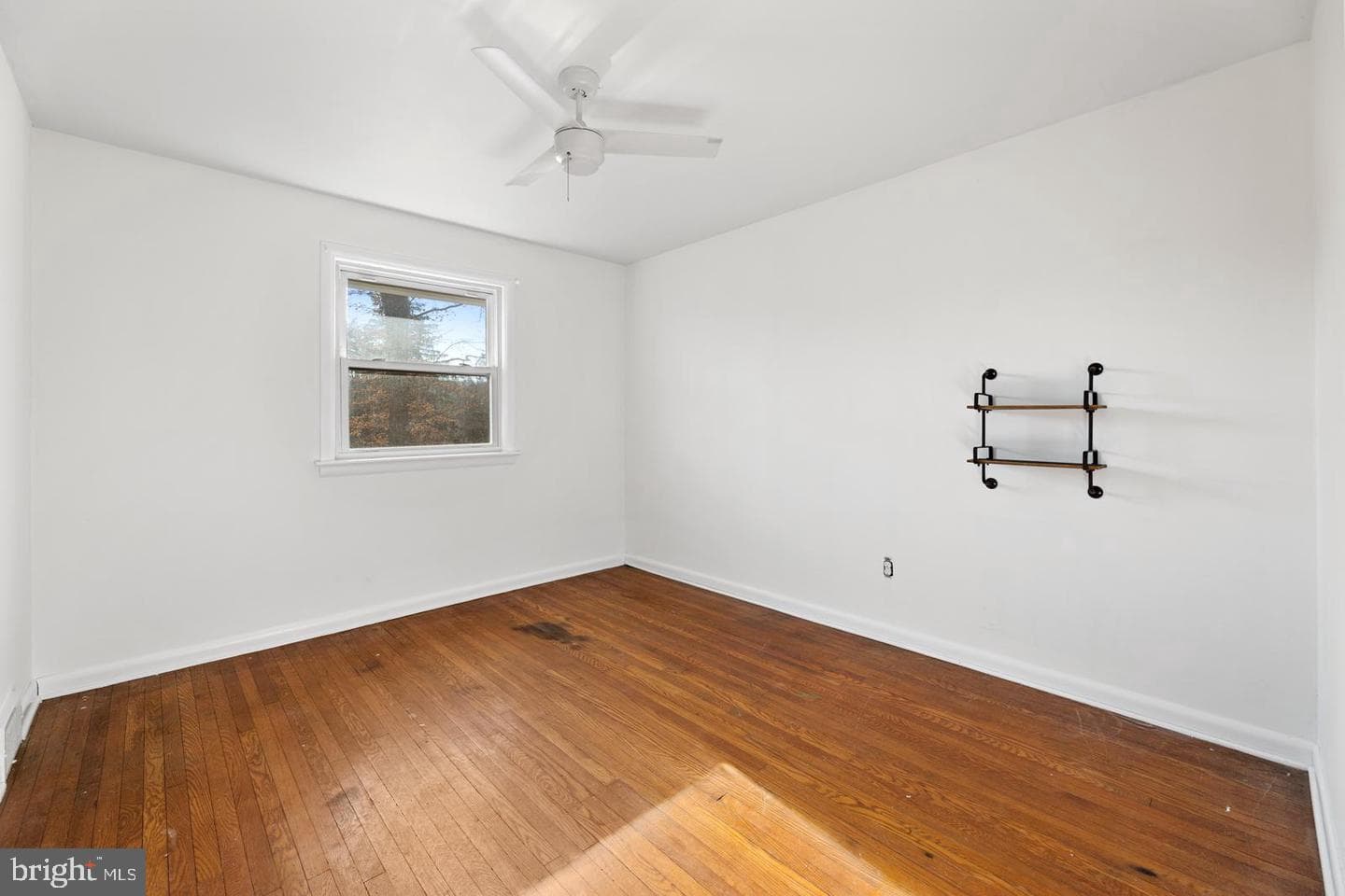 156 Gypsy Lane photo 56