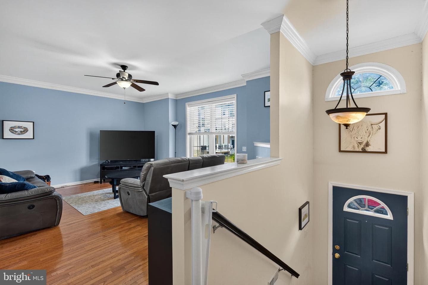 703 Green Street photo 3