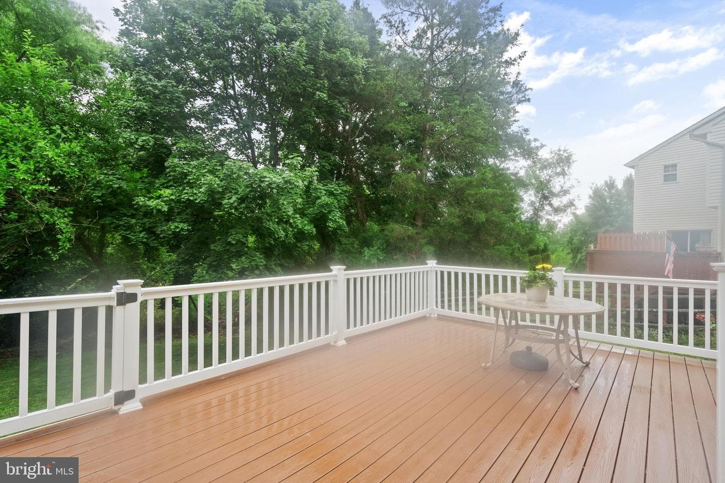806 Elizabeth Court photo 36