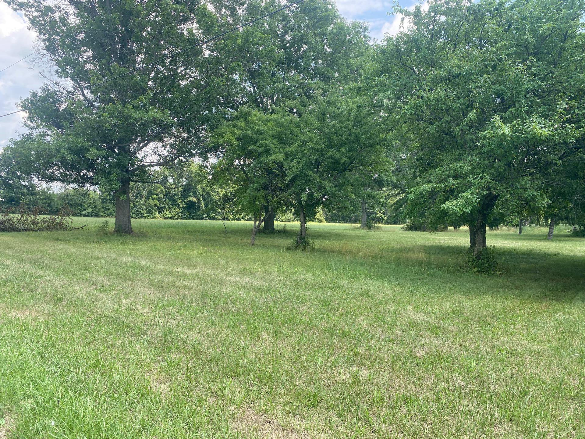 227 Schlegel Road photo 15