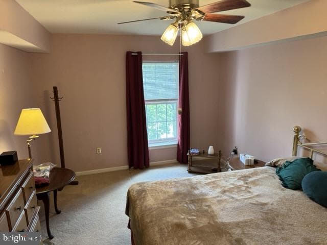 246 Brandon Road photo 17