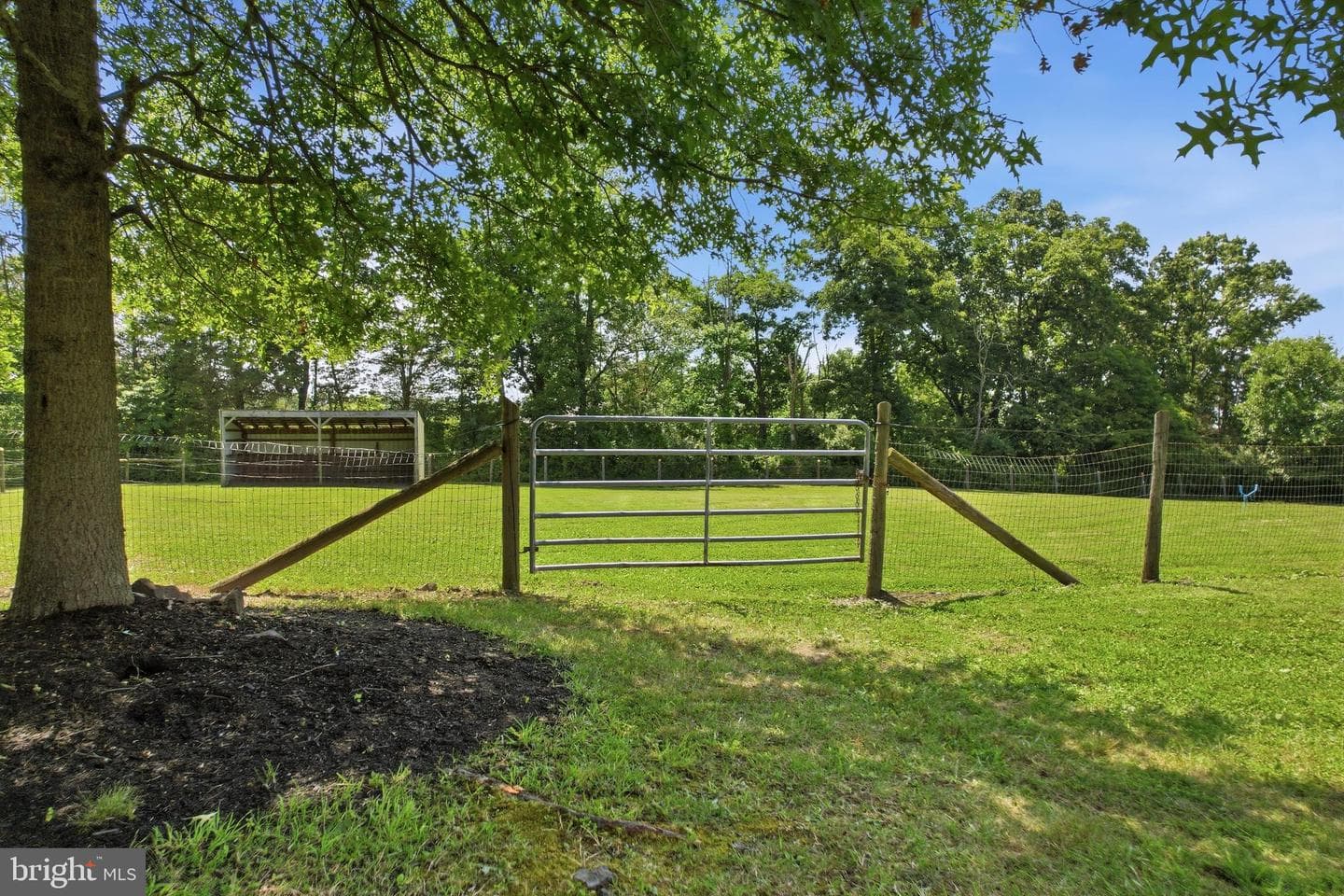 803 Ridge Road photo 47
