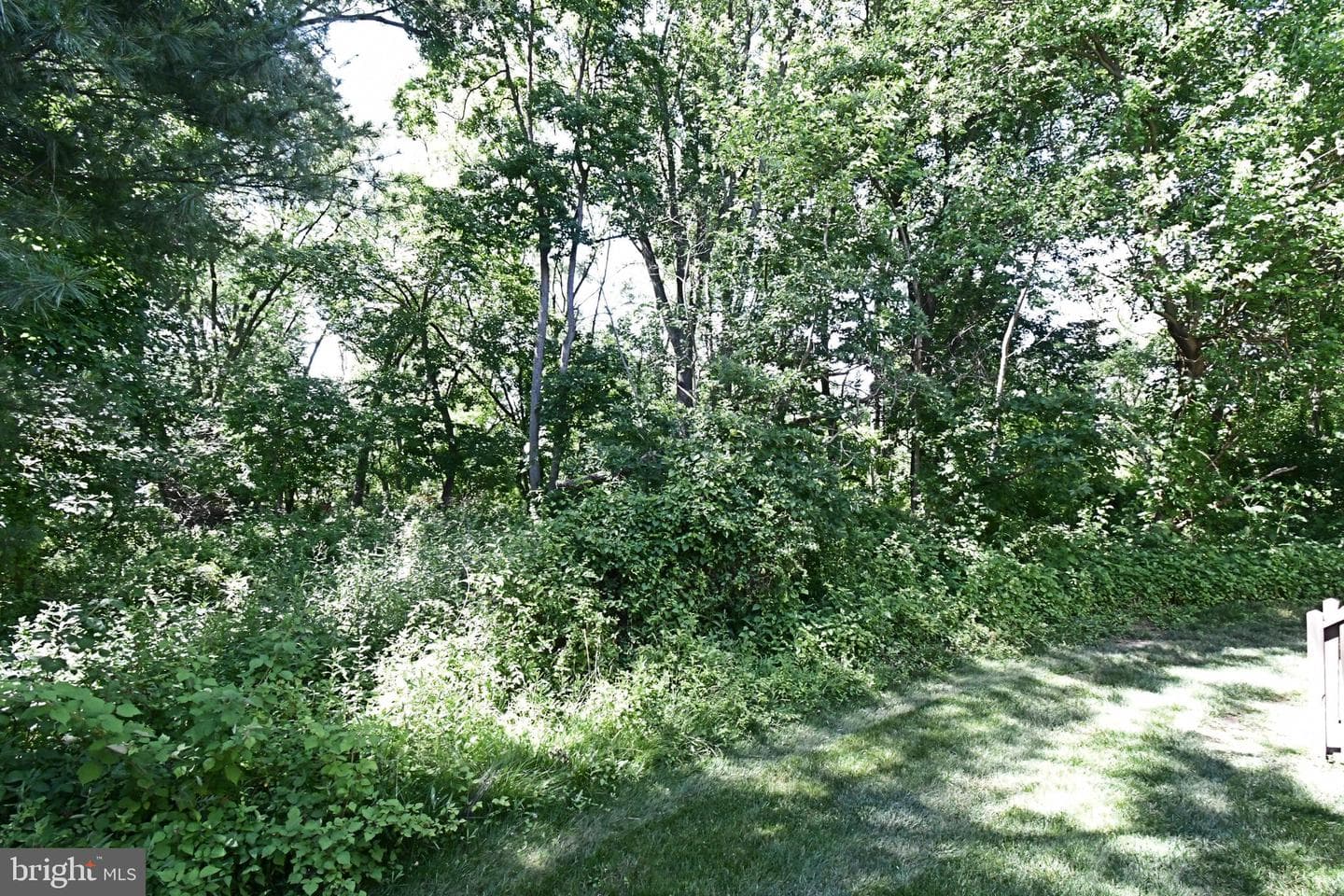 947 Shenkle Drive photo 22
