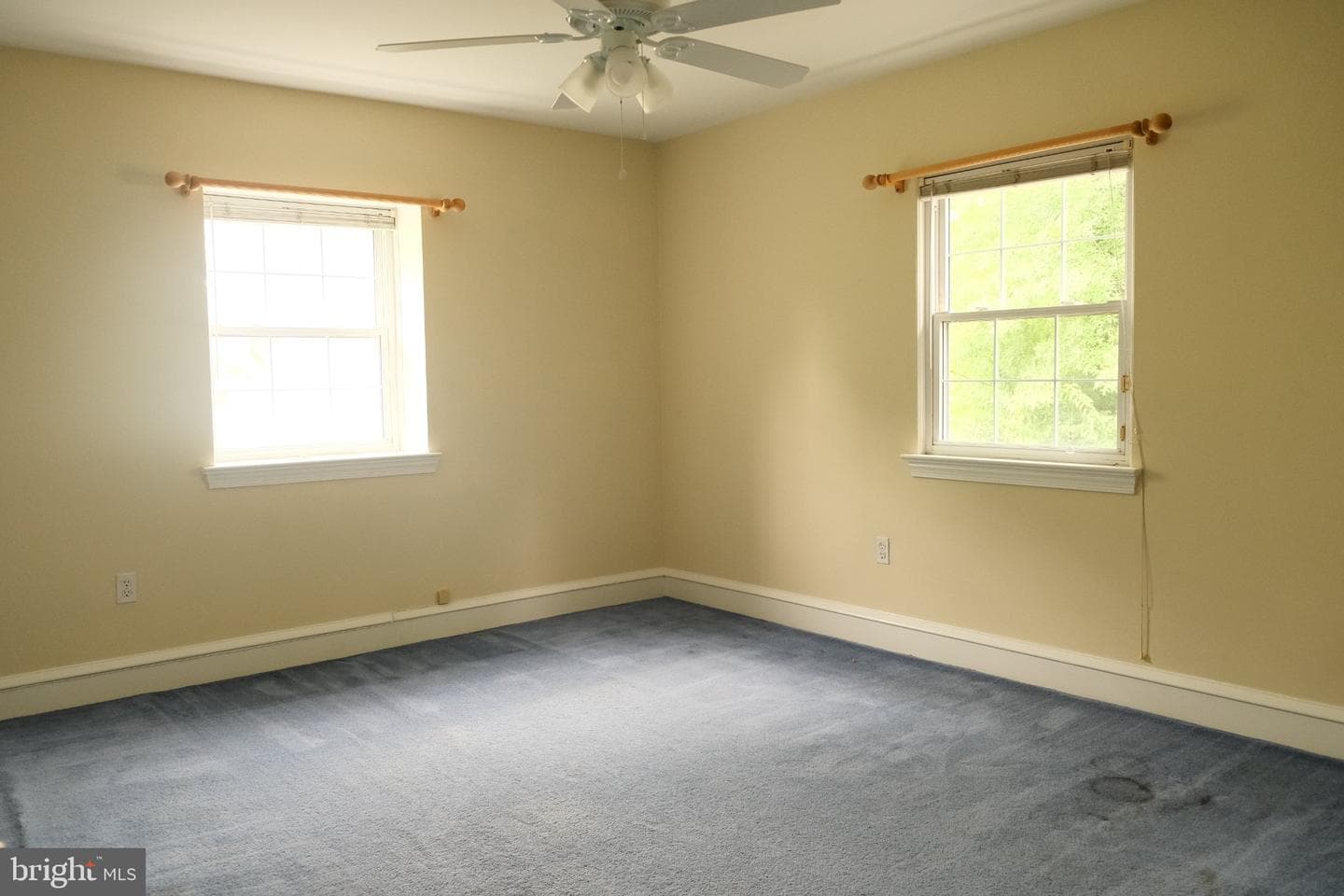 205 Windsor Avenue photo 36