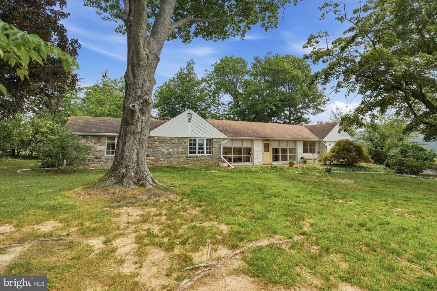 707 Forrest Avenue photo 24