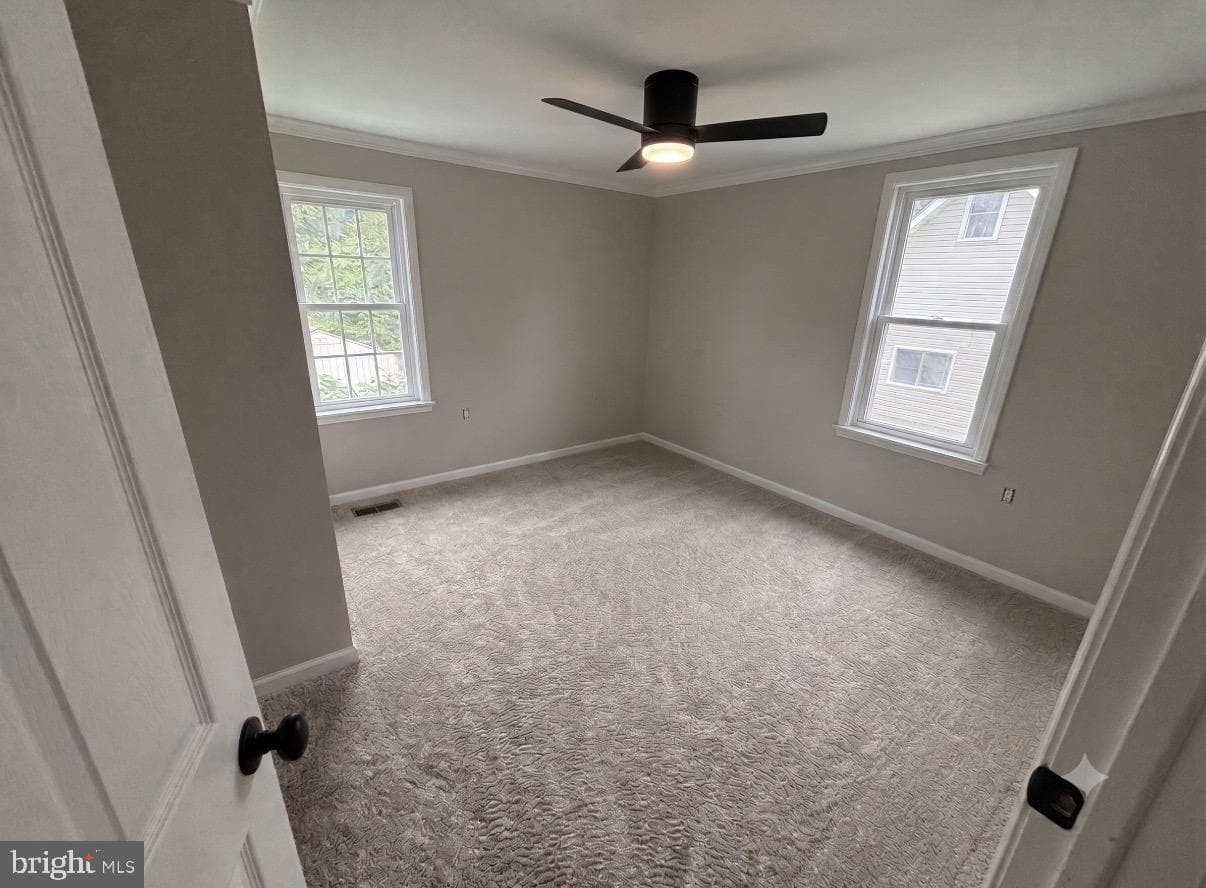 21 Perkiomen Avenue photo 10