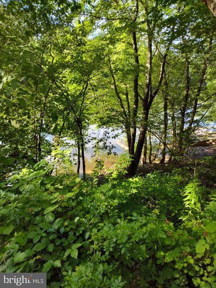 25 Weatherby Drive photo 46