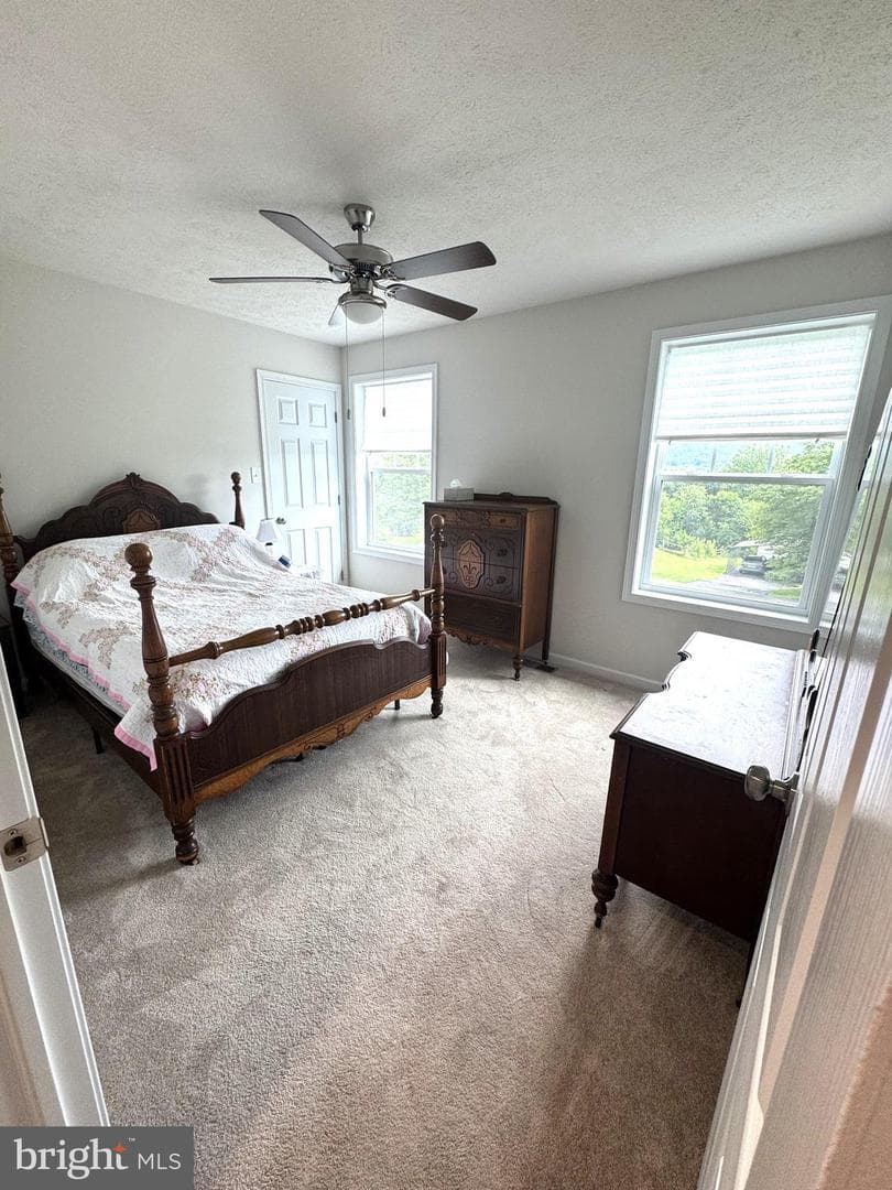 65 Hillside Dr photo 18