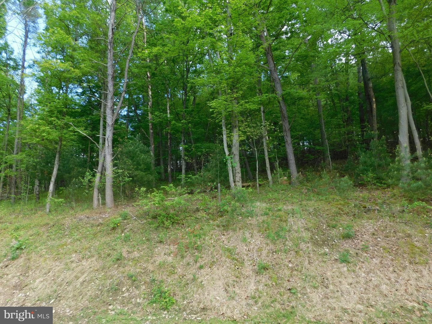 700 Whiskey Road photo 22