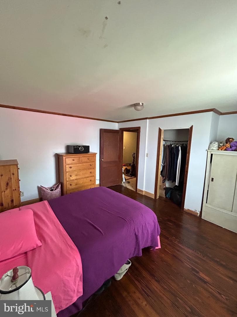56 Maclay Street photo 16