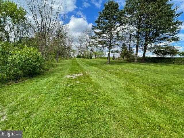 378 Tea Creek Rd photo 35