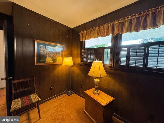 177 Scenic Drive photo 46