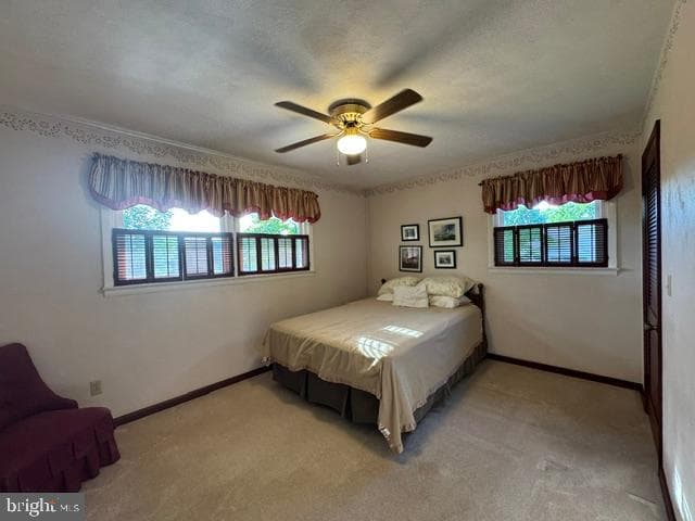 177 Scenic Drive photo 54