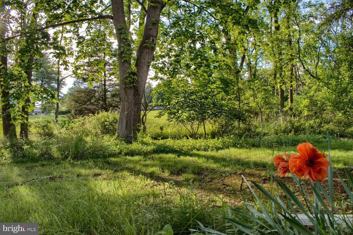 1025 Bloom Road photo 47
