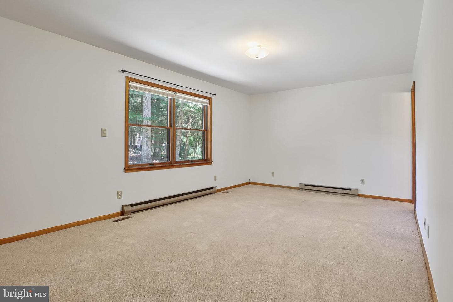 18 Bull Pine Road photo 31
