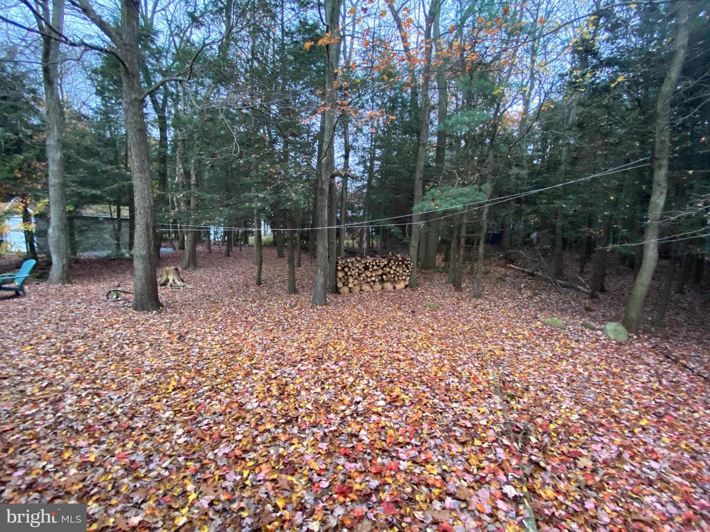 368 Scotch Pine Drive photo 15