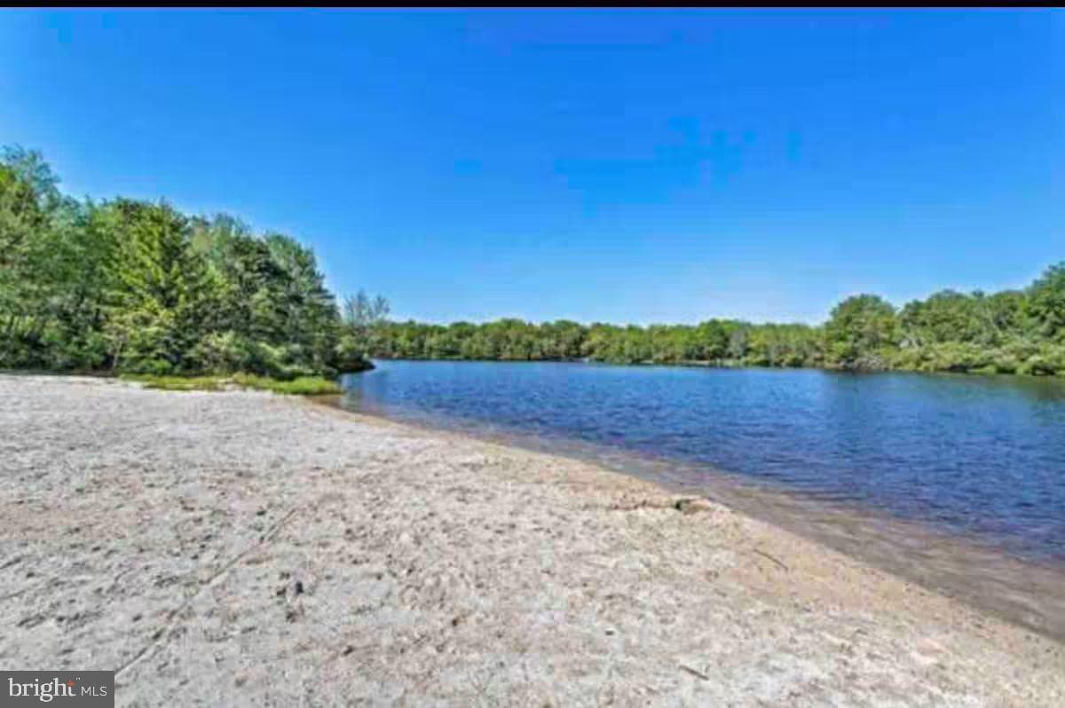124 White Tail Lane photo 44