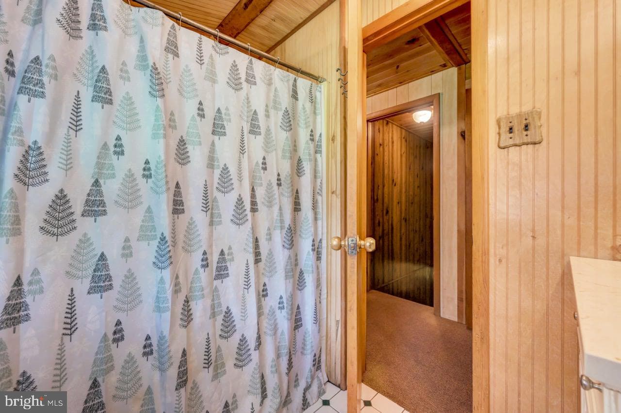 217 Lower Valley Drive photo 66