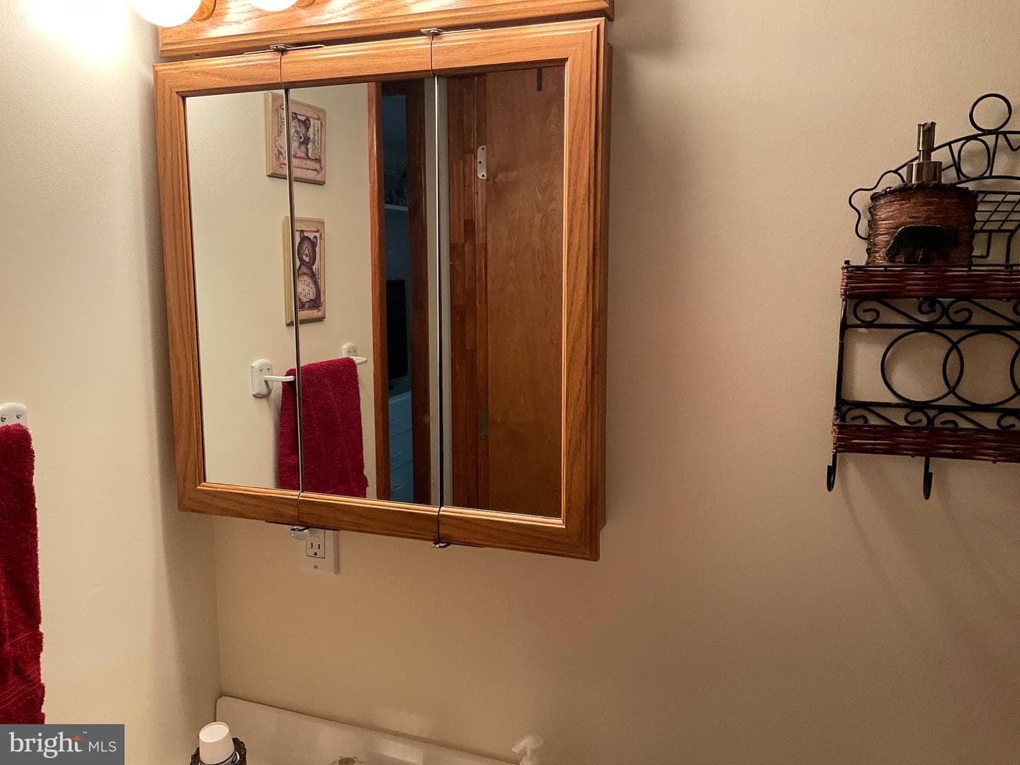 301 Maxatawny Drive photo 32