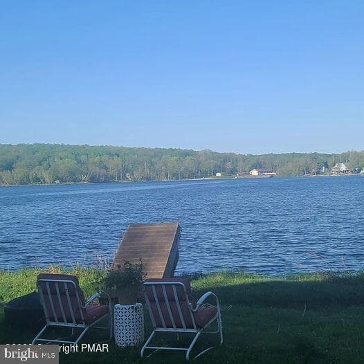 301 Maxatawny Drive photo 65
