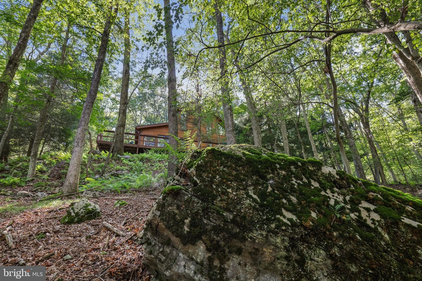 424 Iroquois Loop photo 46