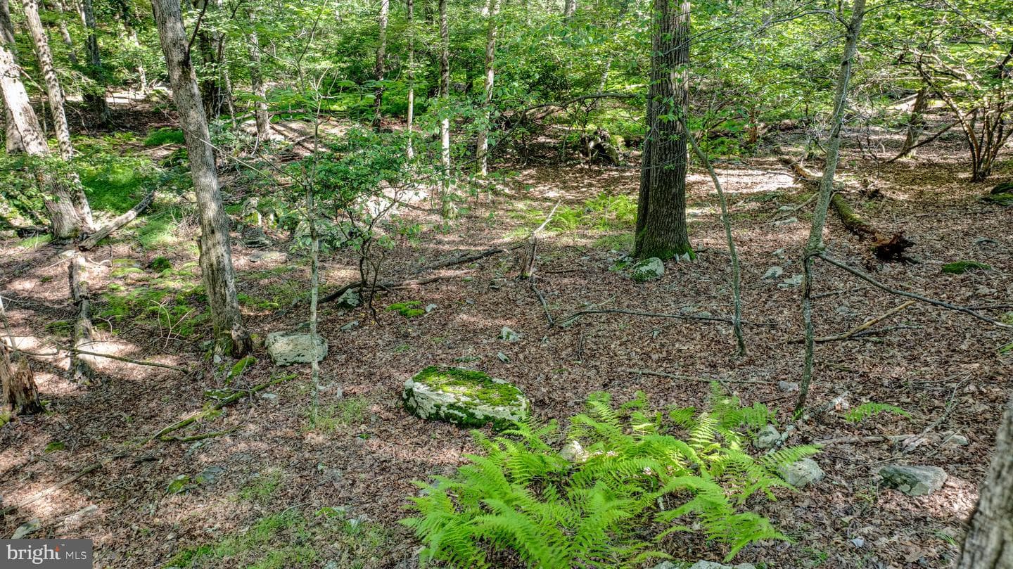 424 Iroquois Loop photo 48