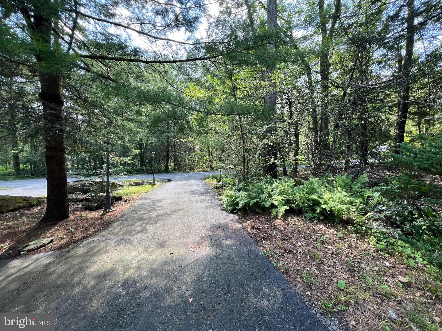 2533 Country Club Drive photo 5