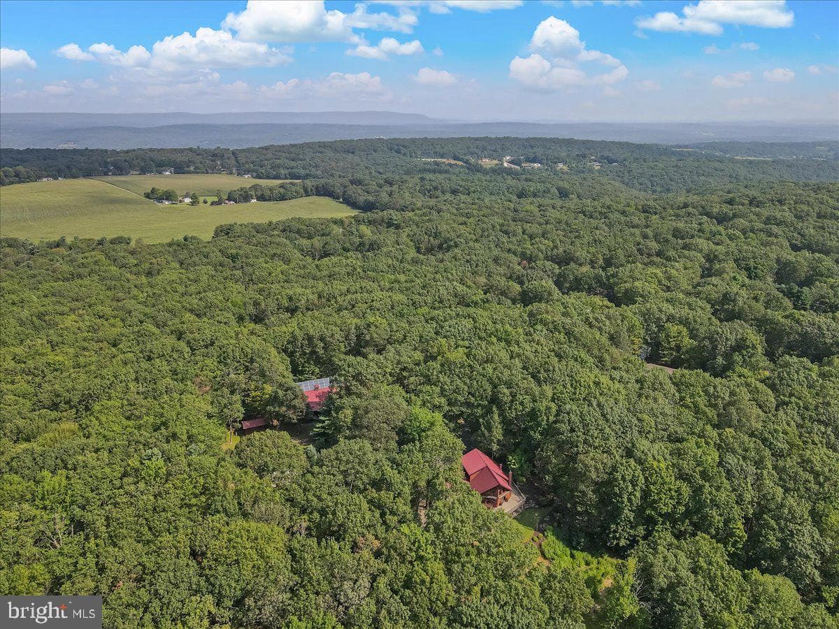 141 Longview Drive photo 114