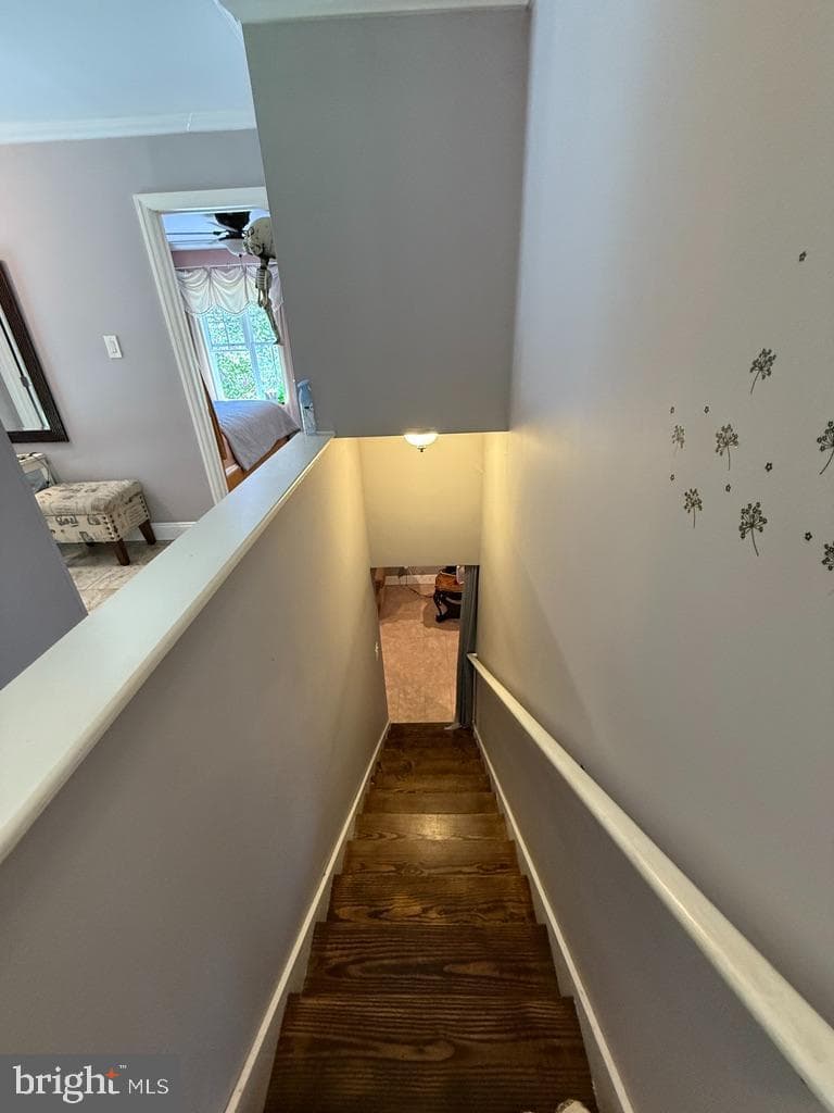 226 George Drive photo 40