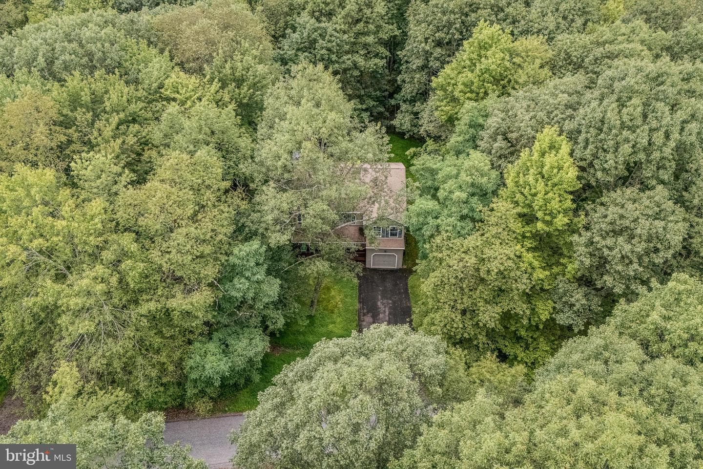 117 Ridge Road photo 3