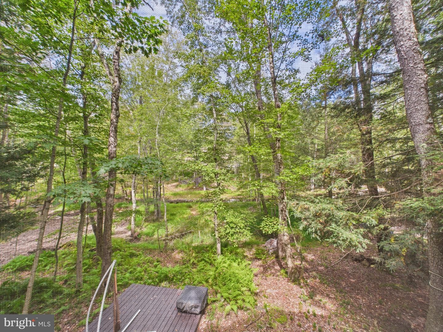 1163 Kinta Circle photo 32