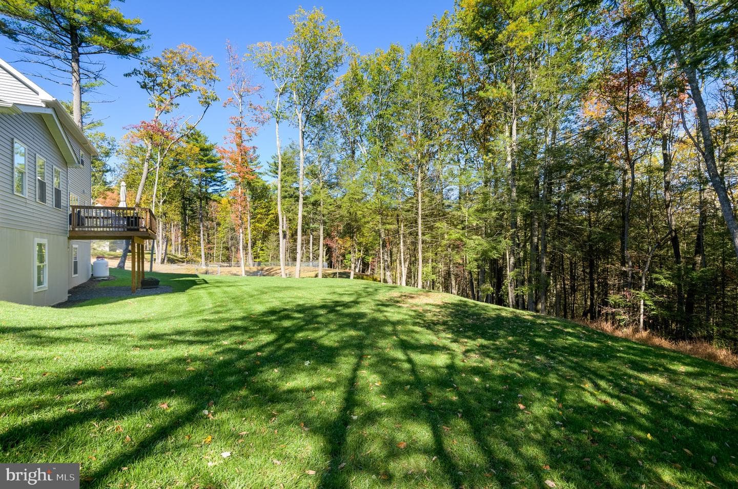 131 Chinaberry Way photo 4