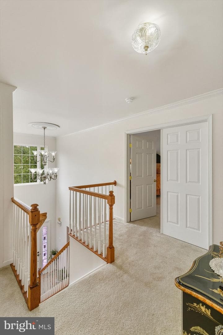 106 Daffodil Drive photo 18