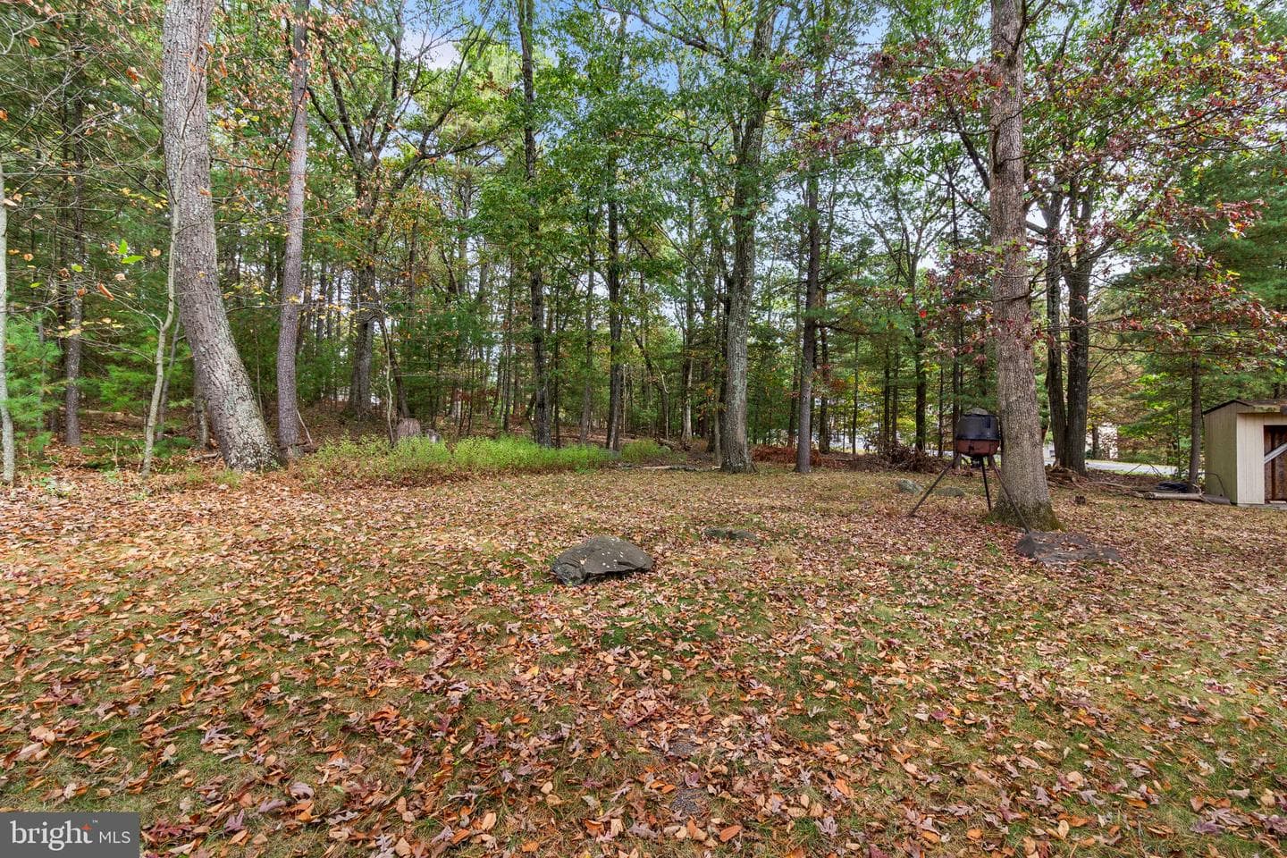 106 Daffodil Drive photo 42