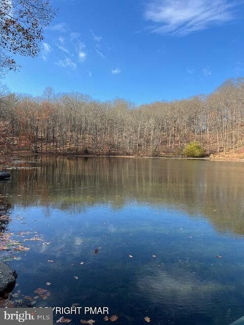 603 Washington Crossing photo 54
