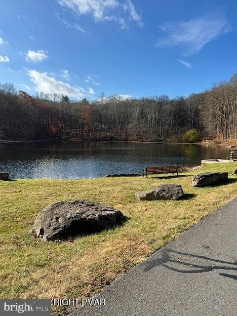 603 Washington Crossing photo 55