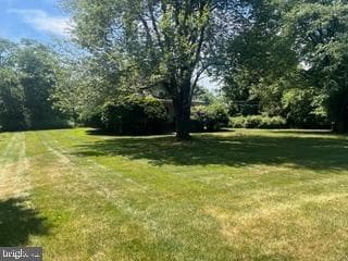 339 E Brown Street photo 8