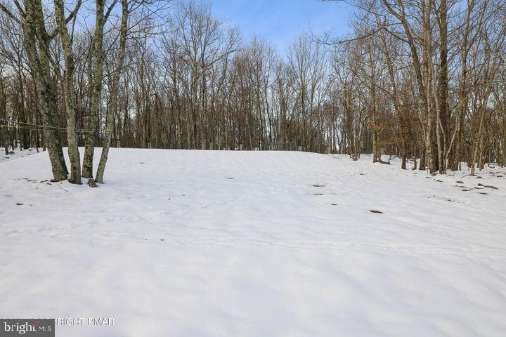81 Blairwood Lane photo 9