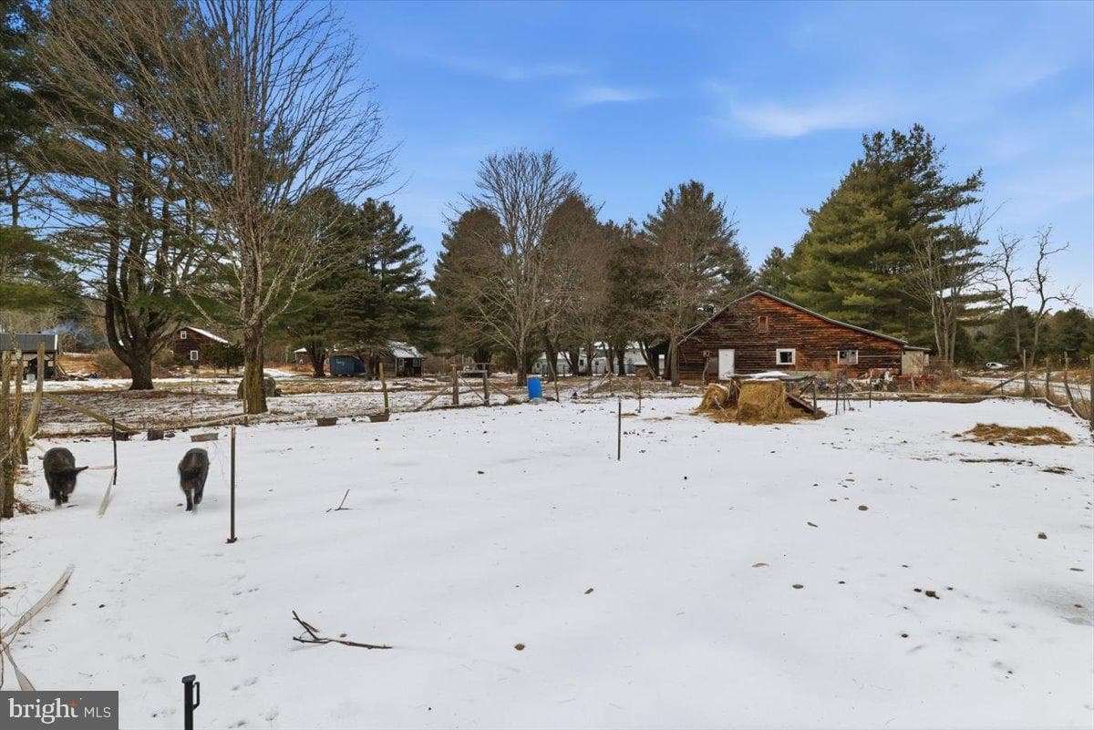 159 Colony Village photo 89