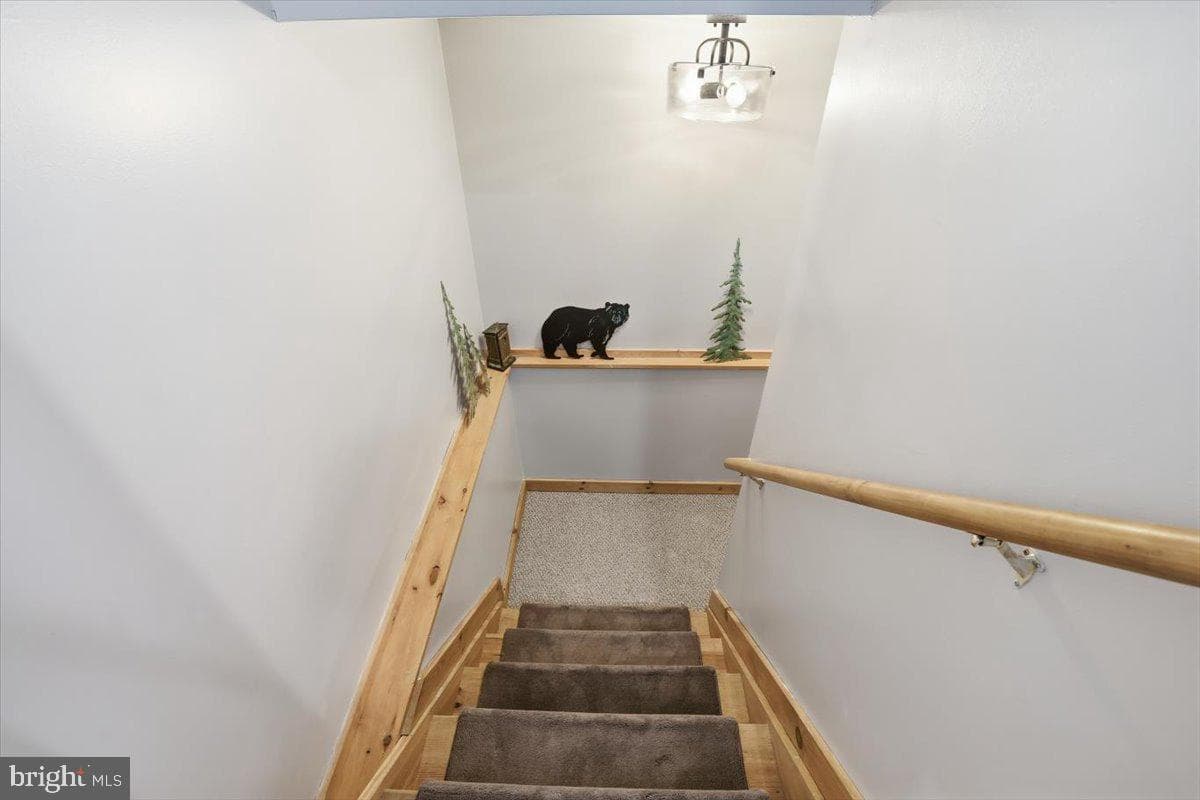 208 Sycamore Court photo 32