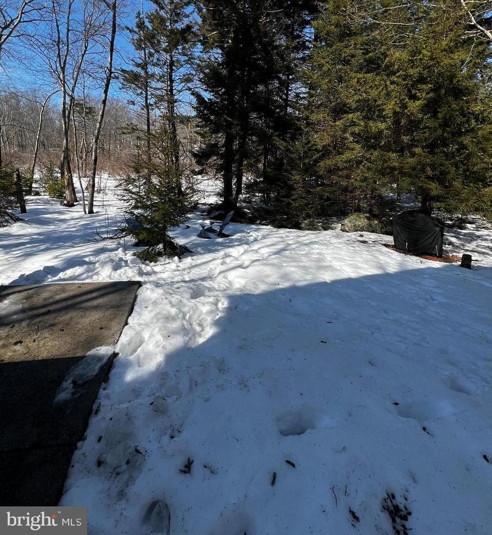 9491 Juniper Drive photo 20