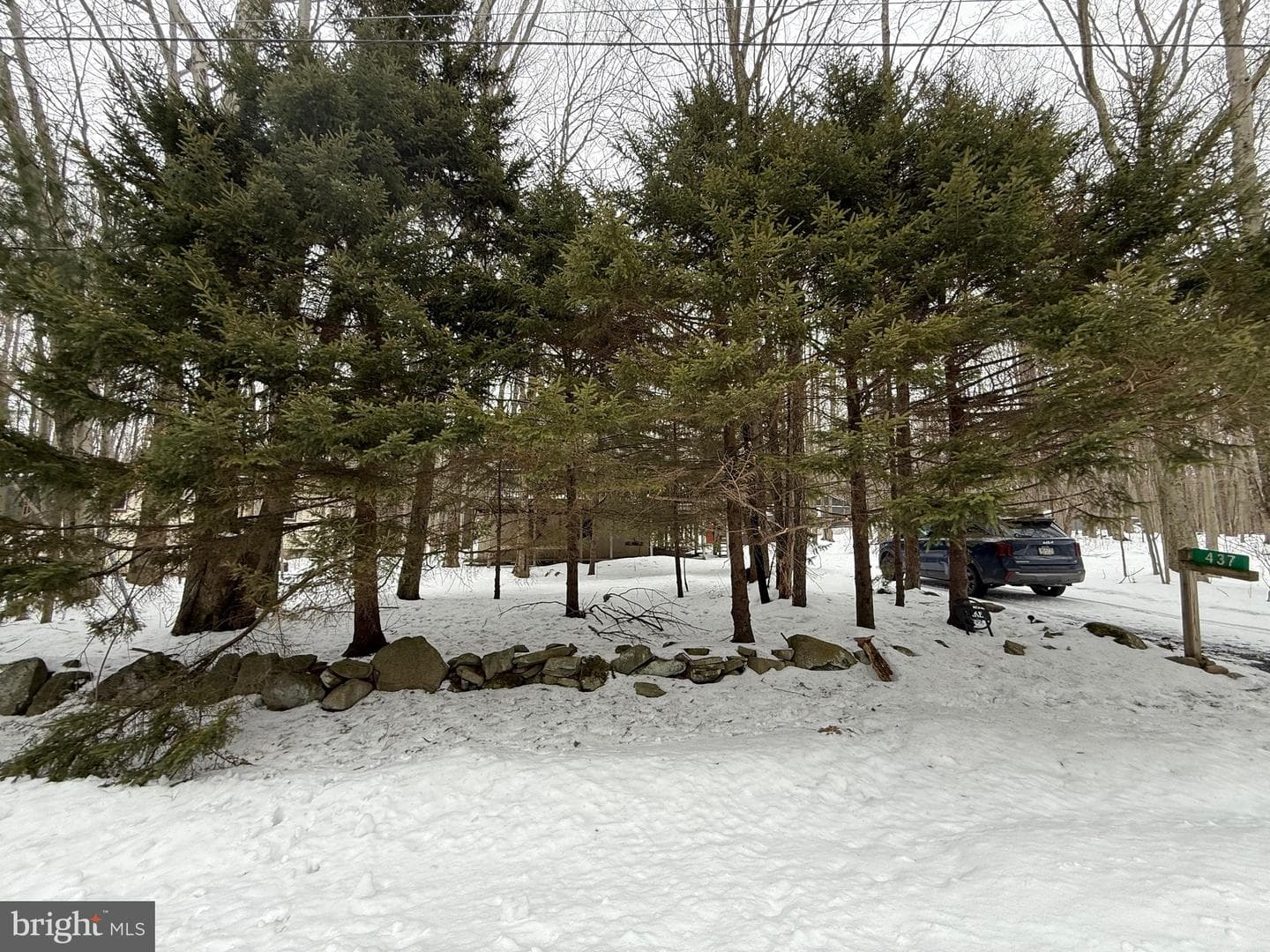 437 Orono Drive photo 6