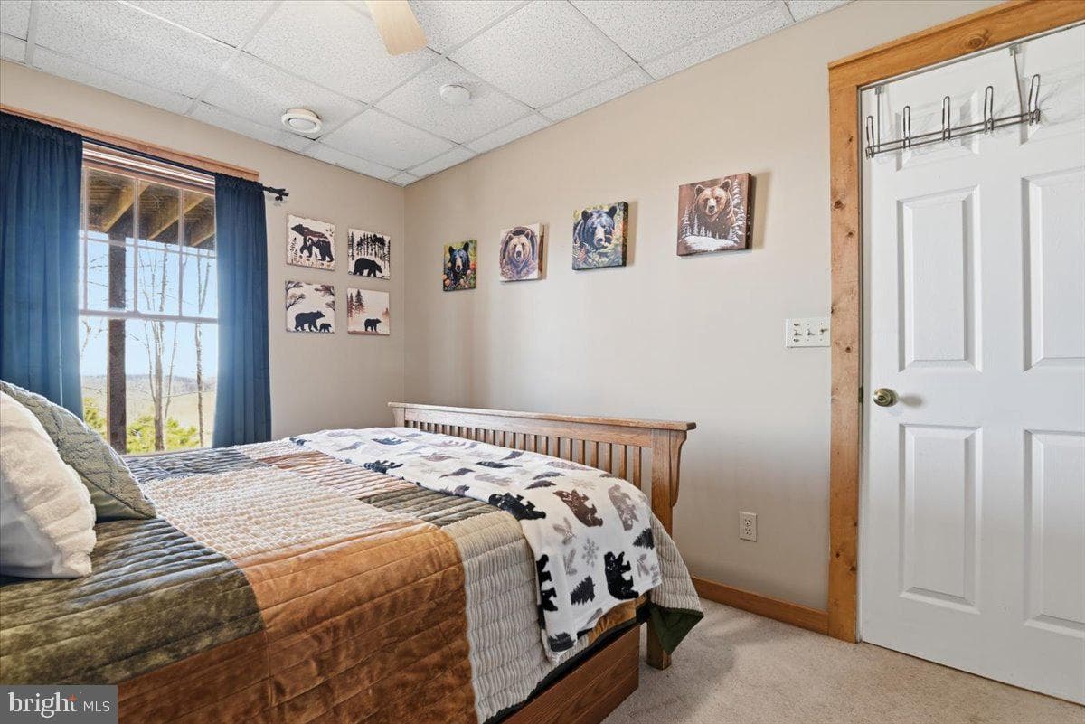 111 High Mountain Lane photo 49