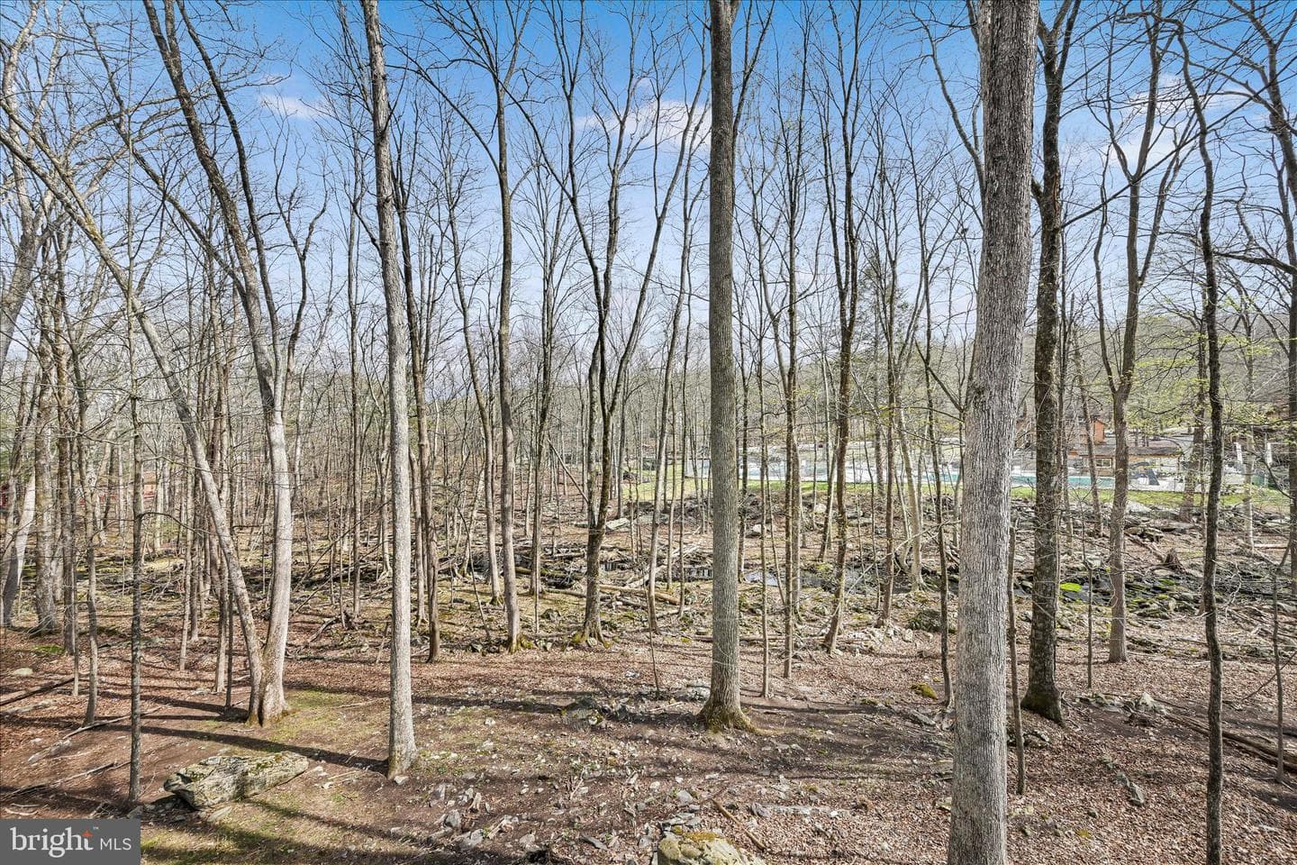 434 Somerset Drive photo 36